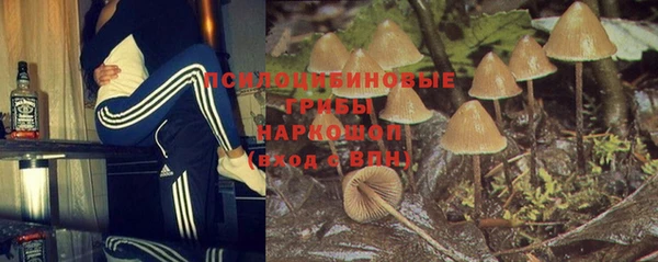 ПСИЛОЦИБИНОВЫЕ ГРИБЫ Алзамай