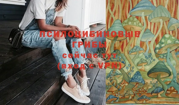 ПСИЛОЦИБИНОВЫЕ ГРИБЫ Алзамай