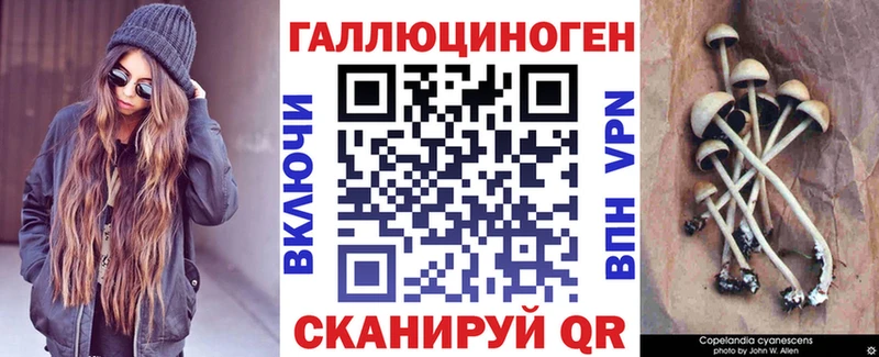 закладки  Стародуб  Галлюциногенные грибы прущие грибы 