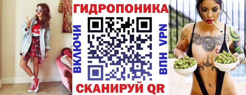 цена   Стародуб  Шишки марихуана OG Kush 